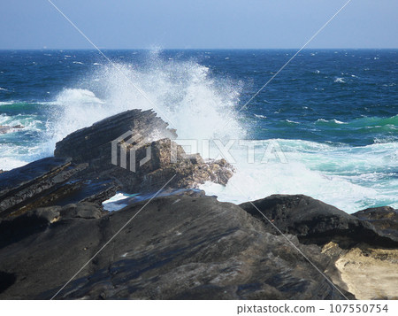 Jogashima natural scenery in spring with rough waves 107550754