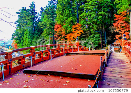 [Tochigi] Autumn Nikko, Futarasanshinkyo Bridge and autumn leaves 107550779