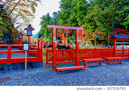 [Tochigi] Autumn Nikko, the bells and autumn leaves of Futarasanshinkyo Bridge 107550793