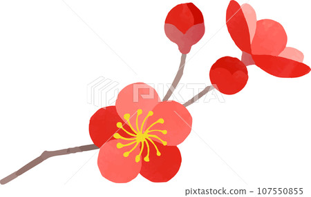 Illustration of red plum 107550855