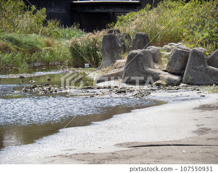 Nakatsuumi River estuary. Takahama Town, Oi District, Fukui Prefecture. 107550931