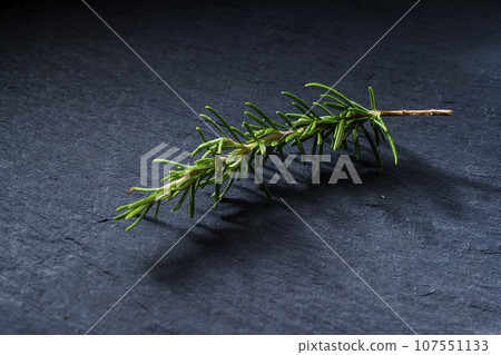 rosemary branch rosemary branch 107551133