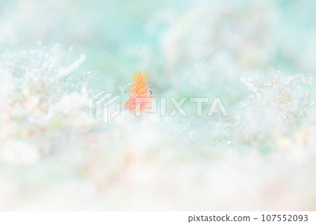 It's getting cold, isn't it? It's getting cold, isn't it? 107552093