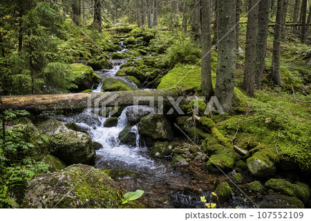 Scenery of brook in Bystra valley, Western Tatras mountain, Slovakia Scenery of brook in Bystra valley, Western Tatras mountain, Slovakia 107552109