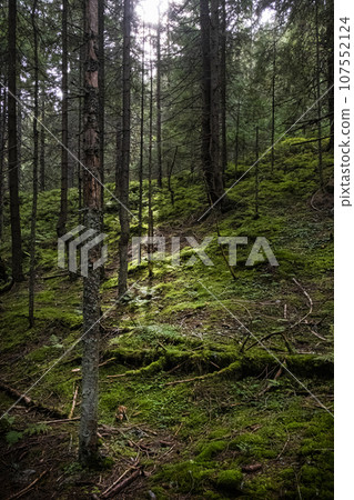 Bystra valley, Western Tatras mountain, Slovakia Bystra valley, Western Tatras mountain, Slovakia 107552124