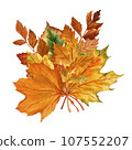 A set of bright leaves on an isolated white background, autumn bouquet, hand drawing, botanical painting for design, print, watercolor illustration, decorative element, template for packaging 107552207
