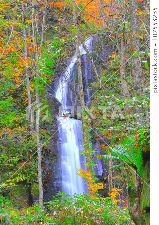 Oirase Stream Kumoi Falls in late autumn 107553235