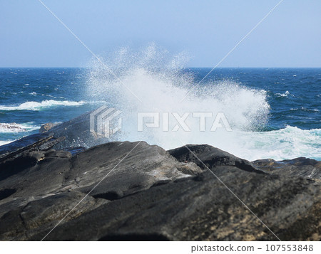 Jogashima natural scenery in spring with rough waves 107553848