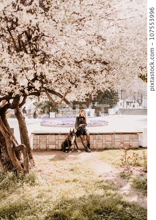 A woman walks with her Great Dane in an urban setting, enjoying the outdoors and the company of her dog. A woman walks with her Great Dane in an urban setting, enjoying the outdoors and the company of her dog. 107553996