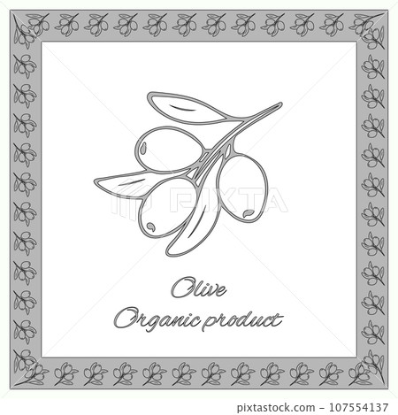Olive organic product 107554137