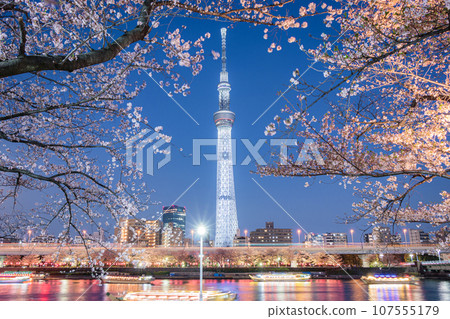 Tokyo night view: Night cherry blossoms, Sumida River, and Sky Tree 2018 #01 Tokyo night view: Night cherry blossoms, Sumida River, and Sky Tree 2018 #01 107555179