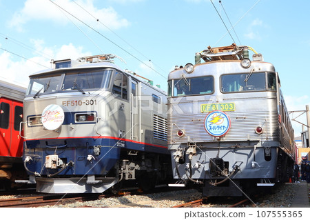 EF81-303, also known as Ginkama, and EF510-301 Part 2 107555365