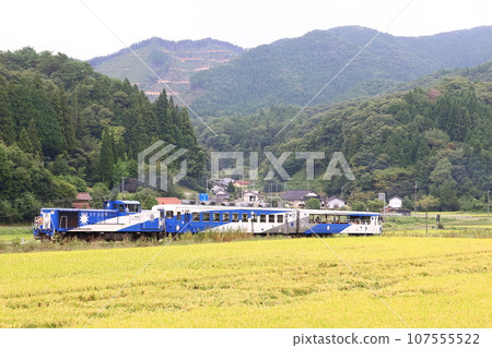 Okuizumo Orochi-go 1 has reached the rice harvesting season Okuizumo Orochi-go 1 has reached the rice harvesting season 107555522