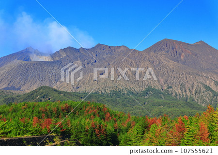 [鹿兒島縣]從黑神見面看到的櫻島昭和火山口 107555621
