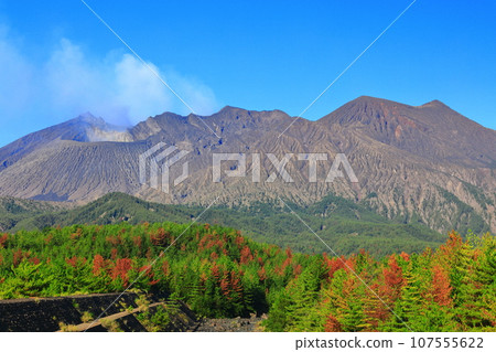 [鹿兒島縣]從黑神見面看到的櫻島昭和火山口 107555622