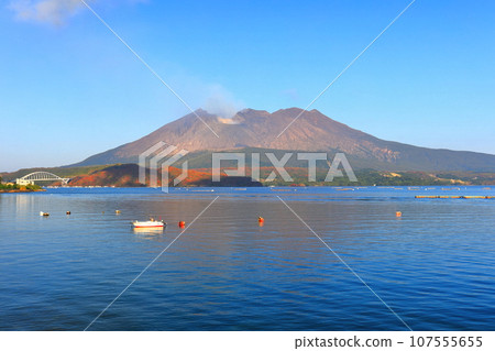 [Kagoshima Prefecture] Sakurajima Showa Crater bathed in the morning sun 107555655