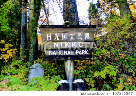 [栃木縣]秋天的日光 日光國立公園標誌 107555847
