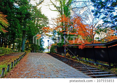 [Tochigi] Autumn Nikko, Higashi-sando road with autumn leaves 107555853