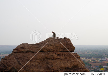 Monkey at Badami Fort, India 107555891