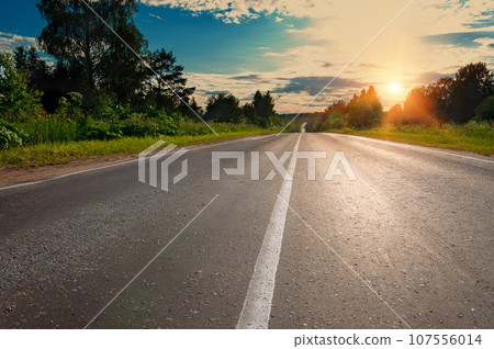 Russia, Tver region, road to Lake Seliger extending distance to the horizon 107556014