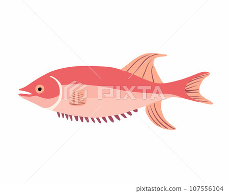 Vector isolated illustration of a pink fish on a white background. Vector isolated illustration of a pink fish on a white background. 107556104