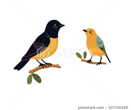 Vector isolated illustration of two birds sitting on a branch on a white background. Vector isolated illustration of two birds sitting on a branch on a white background. 107556109