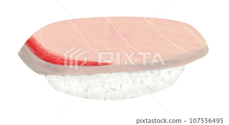 Japanese food sushi nigiri sushi nigiri sushi sushi hamachi hamachi Japanese food sushi nigiri sushi nigiri sushi sushi hamachi hamachi 107556495