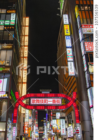 Kabukicho Ichibangai Arch 107556539