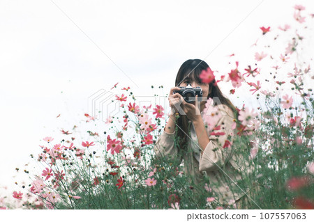 A woman taking a photo in a flower field A woman taking a photo in a flower field 107557063
