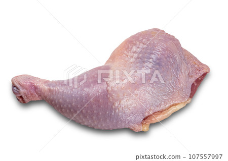 Top view of single fresh chicken leg isolated on white background. 107557997