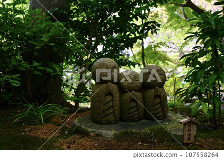 Ryozo jizo of Hasegaji 107558264