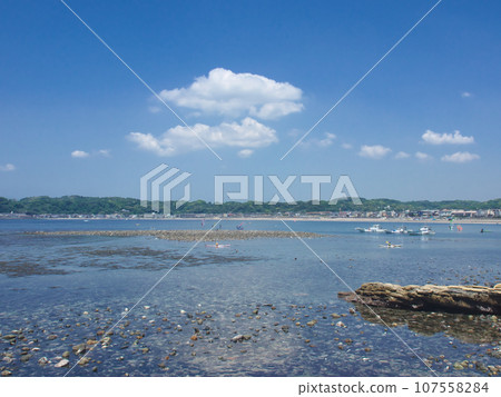 Wagae Island and Spring Shonan Coast Natural Scenery 107558284