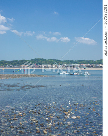 瓦開島和春天湘南海岸自然風光 瓦開島和春天湘南海岸自然風光 107558291