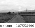 一條直路 107558490