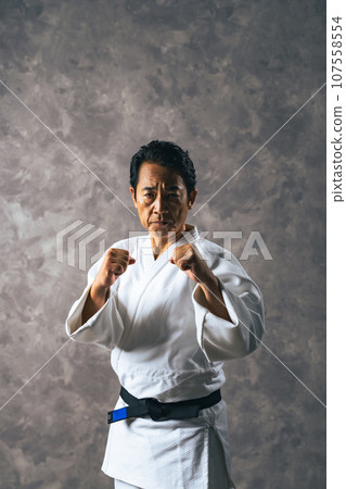 Martial artist, judoka, karateka in a fighting pose Martial artist, judoka, karateka in a fighting pose 107558554