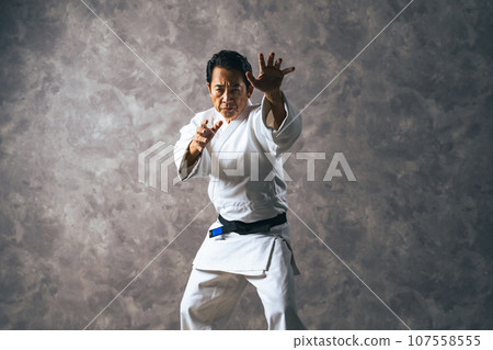 武術家、柔道運動員、空手道運動員的戰鬥姿勢 107558555