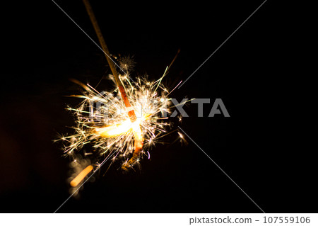 Sparklers that bloom on summer nights 107559106