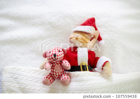Baby cat in Christmas Santa hat. Kitten in winter. Baby cat in Christmas Santa hat. Kitten in winter. 107559438
