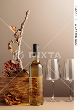 Bottle of white wine with a composition of old plank, dry snags, and dried vine leaves. 107559469