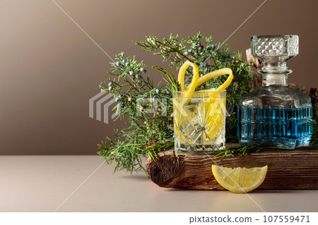 Cocktail gin-tonic with ice, lemon, and rosemary in a frozen glass. 107559471