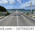Kakushima Bridge 107560245