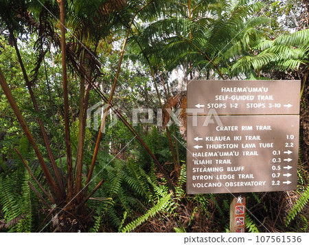 徒步夏威夷火山國家公園 徒步夏威夷火山國家公園 107561536