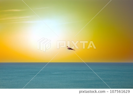 The sea eagles. Kites over the Indian ocean 107561629