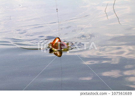pike fishing pike fishing 107561689