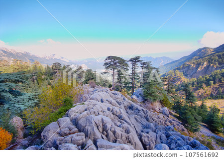 soothing mountain rock  summer wonderful view 107561692