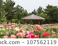 Park with flowers 107562119