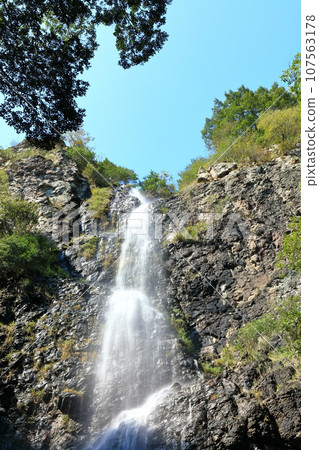 [Kagawa Prefecture] Autumn Fudotaki Country Park 107563178