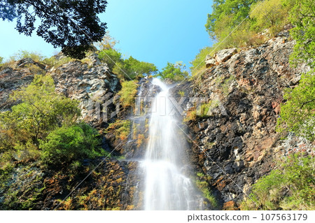 [Kagawa Prefecture] Autumn Fudotaki Country Park 107563179