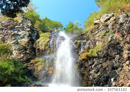 [Kagawa Prefecture] Autumn Fudotaki Country Park 107563182