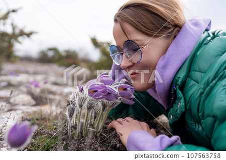 Dream grass woman spring flower. Woman lies on the ground and hugs flowers pasqueflower or Pulsatilla Grandis flowers 107563758